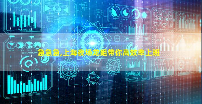 急急急,上海夜场龙姐带你高效率上班